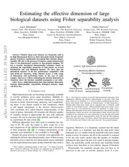 Estimating the effective dimension of large biological datasets using
  Fisher separability analysis