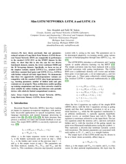 Slim LSTM networks: LSTM_6 and LSTM_C6