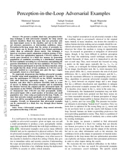Perception-in-the-Loop Adversarial Examples