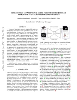 SUMNet: Fully Convolutional Model for Fast Segmentation of Anatomical
  Structures in Ultrasound Volumes
