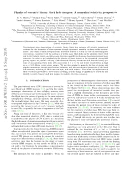 Physics of eccentric binary black hole mergers: A numerical relativity
  perspective