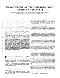 Towards Compact ConvNets via Structure-Sparsity Regularized Filter
  Pruning