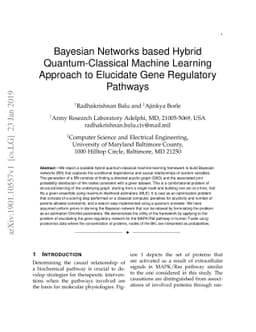 Bayesian Networks based Hybrid Quantum-Classical Machine Learning
  Approach to Elucidate Gene Regulatory Pathways