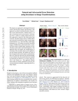 Natural and Adversarial Error Detection using Invariance to Image
  Transformations