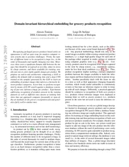 Domain invariant hierarchical embedding for grocery products recognition