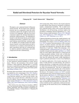 Radial and Directional Posteriors for Bayesian Neural Networks