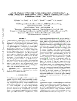 SAPSAM - Sparsely Annotated Pathological Sign Activation Maps - A novel
  approach to train Convolutional Neural Networks on lung CT scans using binary
  labels only