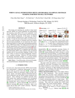 When Causal Intervention Meets Adversarial Examples and Image Masking
  for Deep Neural Networks