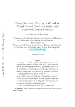 Binary Stochastic Filtering: a Method for Neural Network Size
  Minimization and Supervised Feature Selection