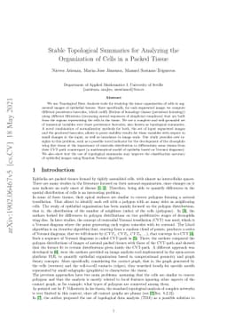 Stable Topological Summaries for Analyzing the Organization of Cells in
  a Packed Tissue
