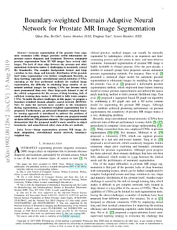 Boundary-weighted Domain Adaptive Neural Network for Prostate MR Image
  Segmentation