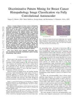Discriminative Pattern Mining for Breast Cancer Histopathology Image
  Classification via Fully Convolutional Autoencoder