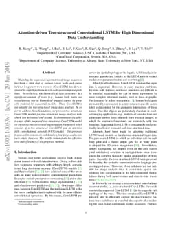 Attention-driven Tree-structured Convolutional LSTM for High Dimensional
  Data Understanding