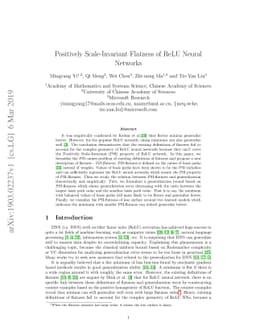 Positively Scale-Invariant Flatness of ReLU Neural Networks