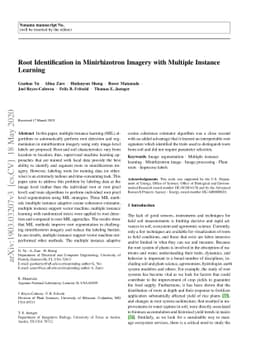 Root Identification in Minirhizotron Imagery with Multiple Instance
  Learning