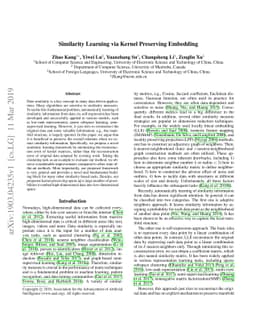 Similarity Learning via Kernel Preserving Embedding