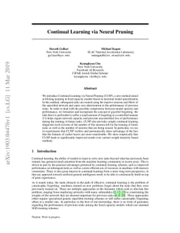 Continual Learning via Neural Pruning