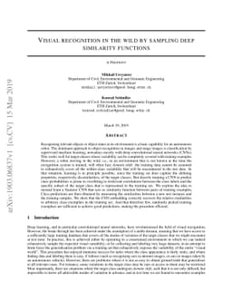 Visual recognition in the wild by sampling deep similarity functions