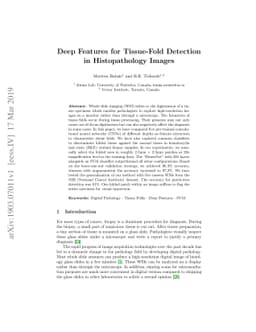 Deep Features for Tissue-Fold Detection in Histopathology Images
