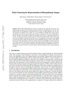 Patch Clustering for Representation of Histopathology Images