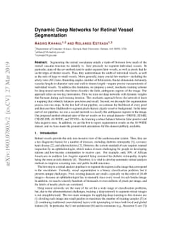 Dynamic Deep Networks for Retinal Vessel Segmentation