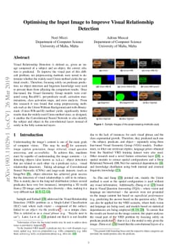 Optimising the Input Image to Improve Visual Relationship Detection