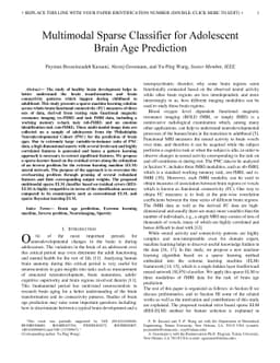 Multimodal Sparse Classifier for Adolescent Brain Age Prediction