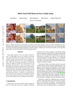 Blind Visual Motif Removal from a Single Image