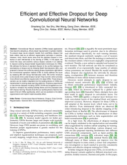 Effective and Efficient Dropout for Deep Convolutional Neural Networks