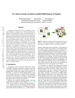 Few-Shot Learning via Saliency-guided Hallucination of Samples