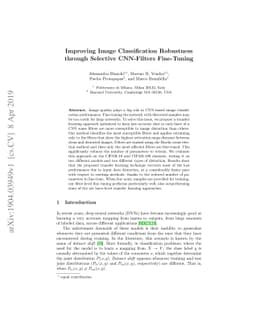 Improving Image Classification Robustness through Selective CNN-Filters
  Fine-Tuning