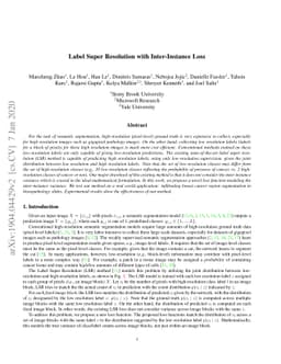 Label Super Resolution with Inter-Instance Loss