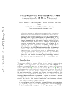 Weakly-Supervised White and Grey Matter Segmentation in 3D Brain
  Ultrasound