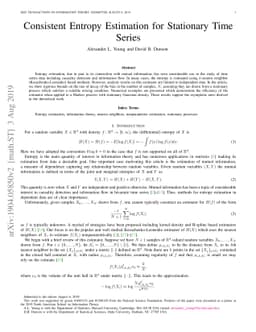 Consistent Entropy Estimation for Stationary Time Series
