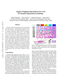 Adaptive Weighting Multi-Field-of-View CNN for Semantic Segmentation in
  Pathology