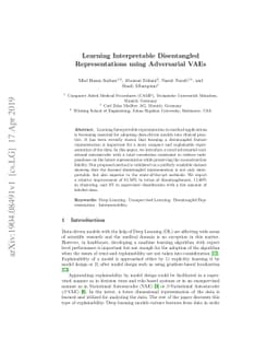 Learning Interpretable Disentangled Representations using Adversarial
  VAEs
