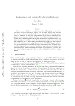 Learning relevant features for statistical inference