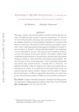 Forecasting in Big Data Environments: an Adaptable and Automated
  Shrinkage Estimation of Neural Networks (AAShNet)