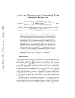 Multi-scale Microaneurysms Segmentation Using Embedding Triplet Loss