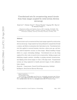 Convolutional nets for reconstructing neural circuits from brain images
  acquired by serial section electron microscopy