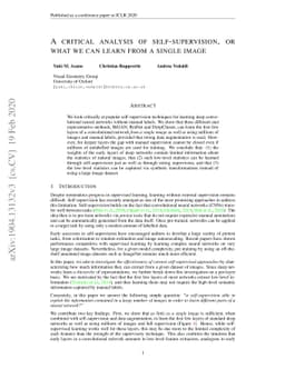 A critical analysis of self-supervision, or what we can learn from a
  single image