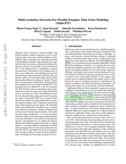 Multi-resolution Networks For Flexible Irregular Time Series Modeling
  (Multi-FIT)