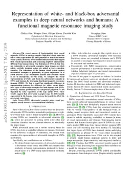 Representation of White- and Black-Box Adversarial Examples in Deep
  Neural Networks and Humans: A Functional Magnetic Resonance Imaging Study