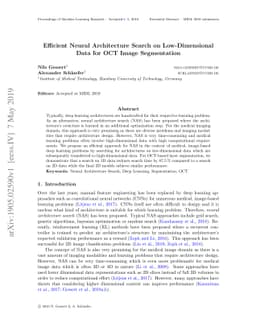 Efficient Neural Architecture Search on Low-Dimensional Data for OCT
  Image Segmentation