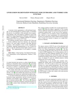 Liver Lesion Segmentation with slice-wise 2D Tiramisu and Tversky loss
  function