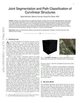 Joint Segmentation and Path Classification of Curvilinear Structures