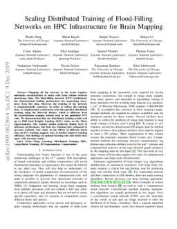 Scaling Distributed Training of Flood-Filling Networks on HPC
  Infrastructure for Brain Mapping