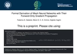 Formal derivation of Mesh Neural Networks with their Forward-Only
  gradient Propagation