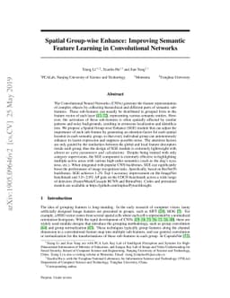 Spatial Group-wise Enhance: Improving Semantic Feature Learning in
  Convolutional Networks