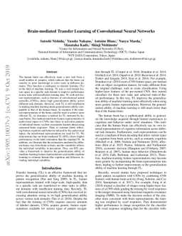 Brain-mediated Transfer Learning of Convolutional Neural Networks